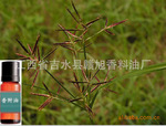 ������Ӧ����Ȼ�㸽�ͣ�ͼ��