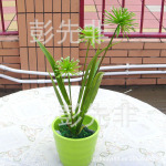 3头水竹 塑料仿真植物 塑胶仿真小盆景 干花批发
