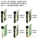 ��ӦCJ1ϵ�е�Դģ�� ŷķ���¶ȴ�������Ԫ CVM1-MP703-V1