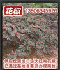 供应大红袍花椒 商检花椒 基地备案花椒 花椒