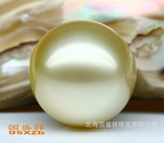 【国盛祥】14-15mm A1AB 珠宝级 金色南洋珠 可订做吊坠 耳坠