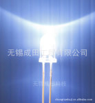 (高品质)5mm圆头白灯长脚LED F5圆头白光