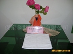 ��Ӧ�Ƶ����ʪ��ר�÷���26*26��25��