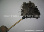 ��Ӧ������������ ���� �������������� �����絧��