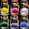 DIY��Ʒ|���˽�����|��̬����LED����Ը����|����|ƿ|ˮ��[Z101]