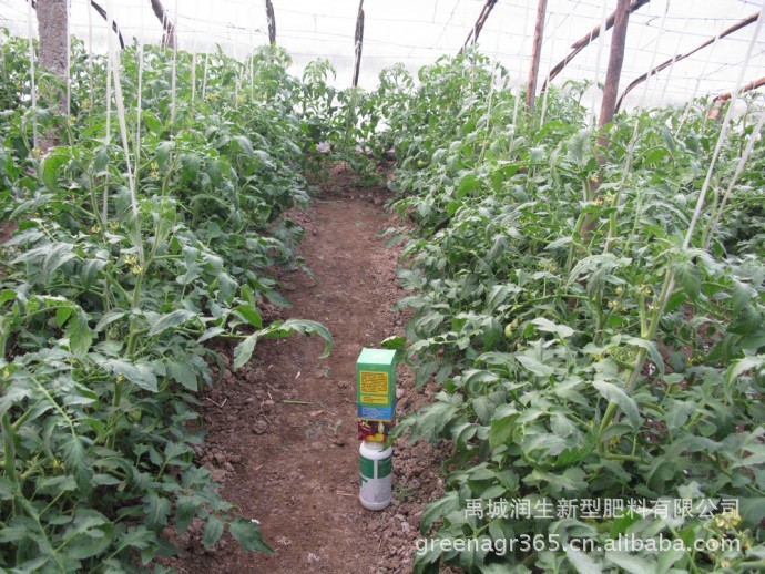 绿色有机蔬菜种植首选生物有机肥