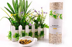 明目降火 茶语心情之胎菊花茶