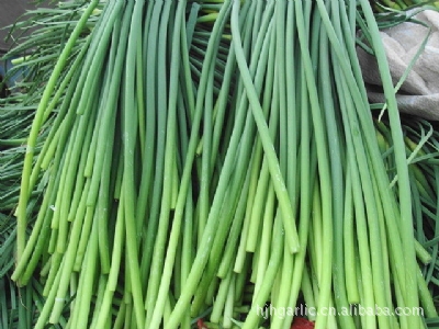 原料辅料,初加工材料 农产品 新鲜蔬菜 其他蔬菜 厂家销售保鲜蒜薹