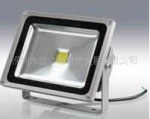 ��Ӧ30������LED�����RV-FGD-30W