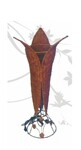 �ٱ�Ƶ���Σ��������еƣ���صƣ��ٵ��֣�����̨�ƣ�װ�޵���