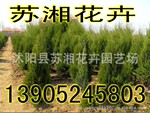 ɳ�ذ�-������-����052783394072