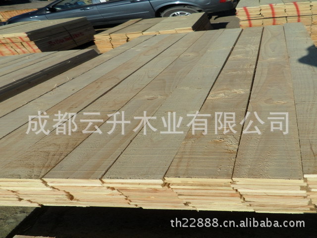 供應馬尾松。落葉松。青松。原木，烘干板，