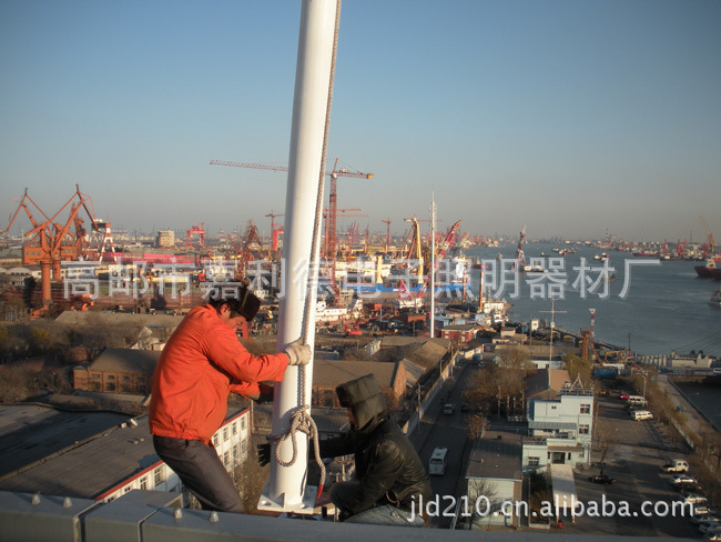 6米,8米,9米,10米,12米,13米、15米单臂路灯,专业厂家