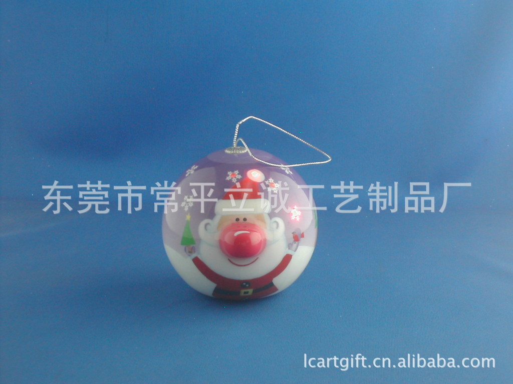 DSCN1204