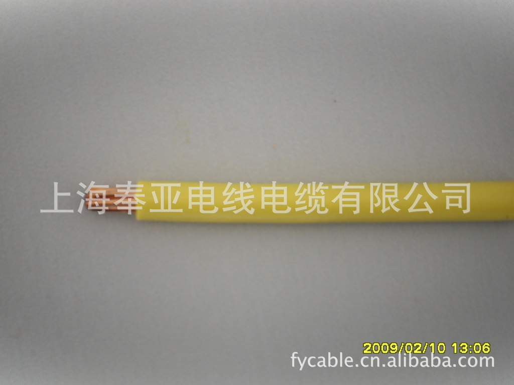 SDC10150