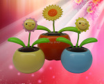 ���¿�ƻ��������Ӧ̫����С��ƻ���� ̫����evaƻ����