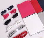 蜥蜴纹 Ipad2 保护套 皮套 背包 保护壳支架款