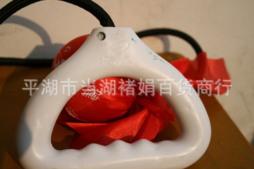 照片扇子2 741