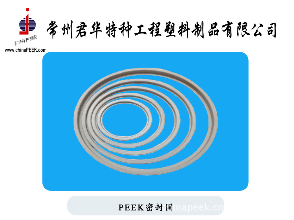 PEEK密封圈