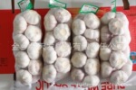 ��Ӧ���ʳ��ڼ����ʸ���������