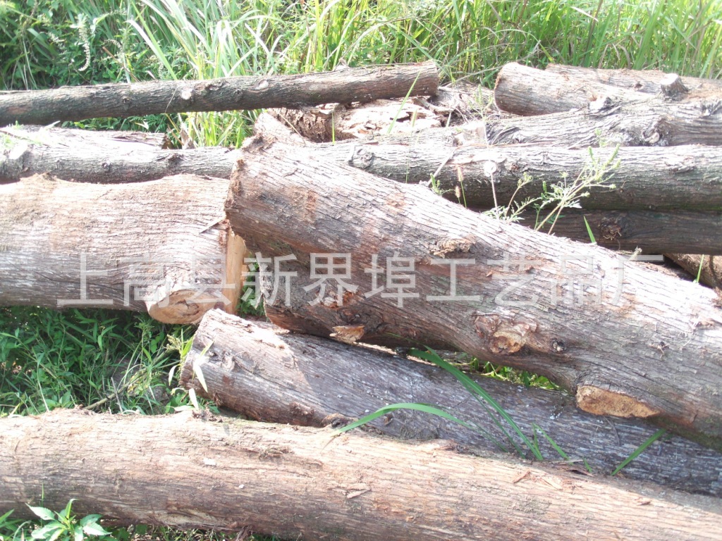 香柏木原木 板材