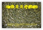 供应莼菜