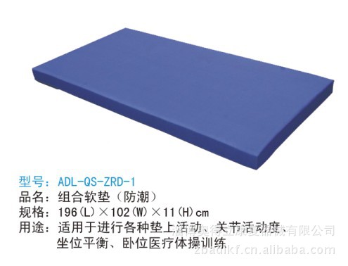 (22)ADL-QS-ZRD-1