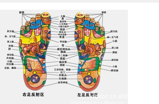 按摩器 脚底足疗仪 低频脉冲按摩 改善血液循环