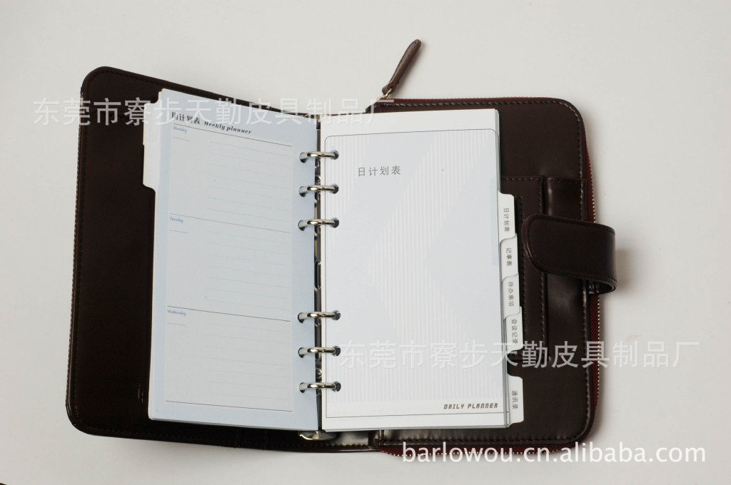 LD-1 (100)