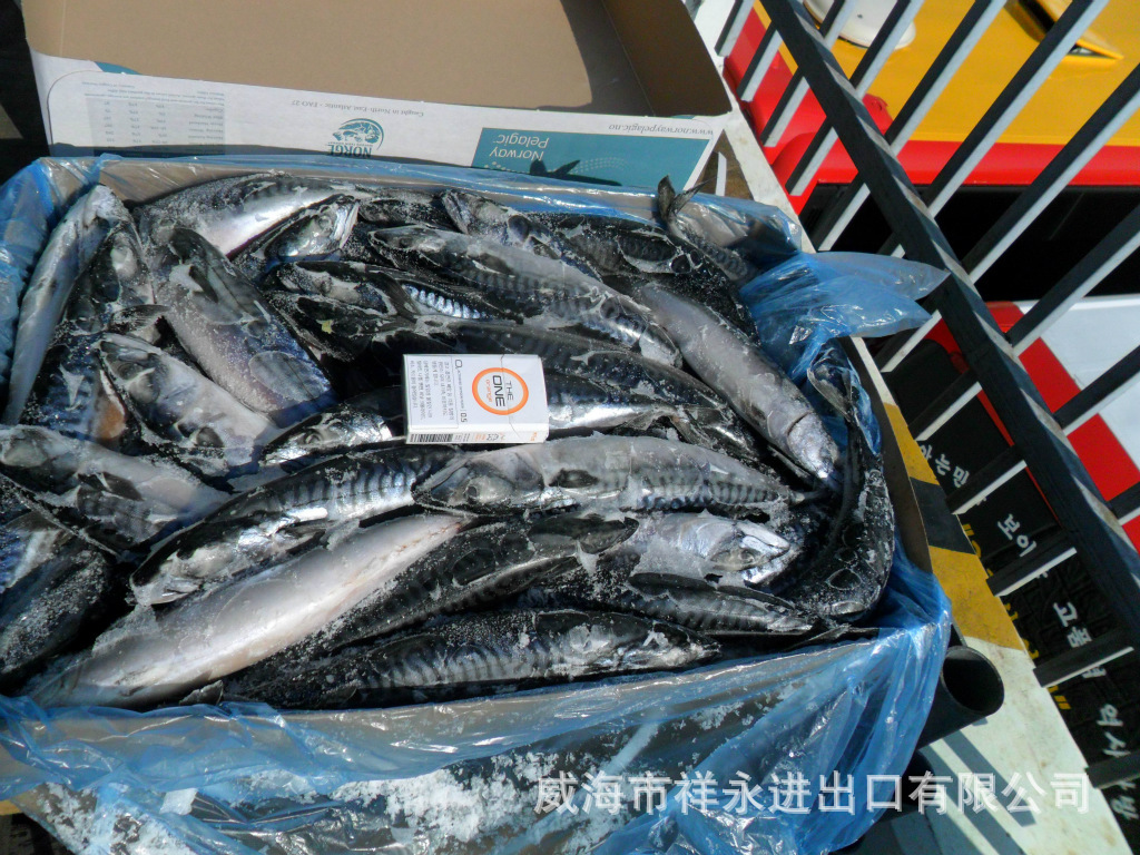 挪威的森林_挪威的人均水产品居