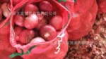 ��Ӧ2011���ʻ�Ƥ���