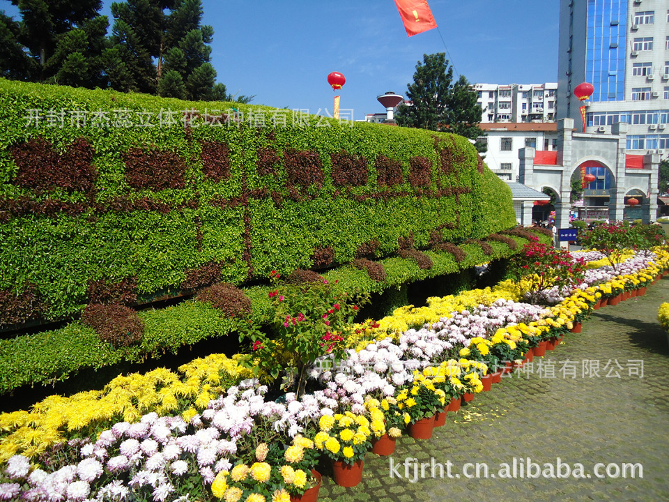 花坛设计图 造型展示