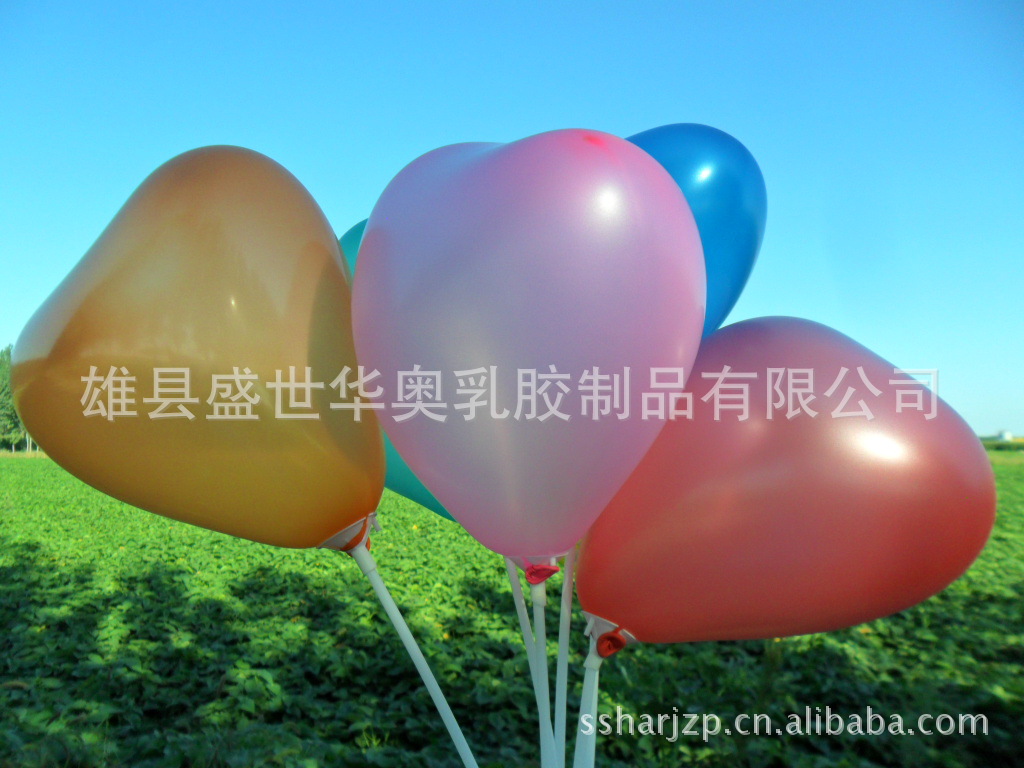 SAM_8681