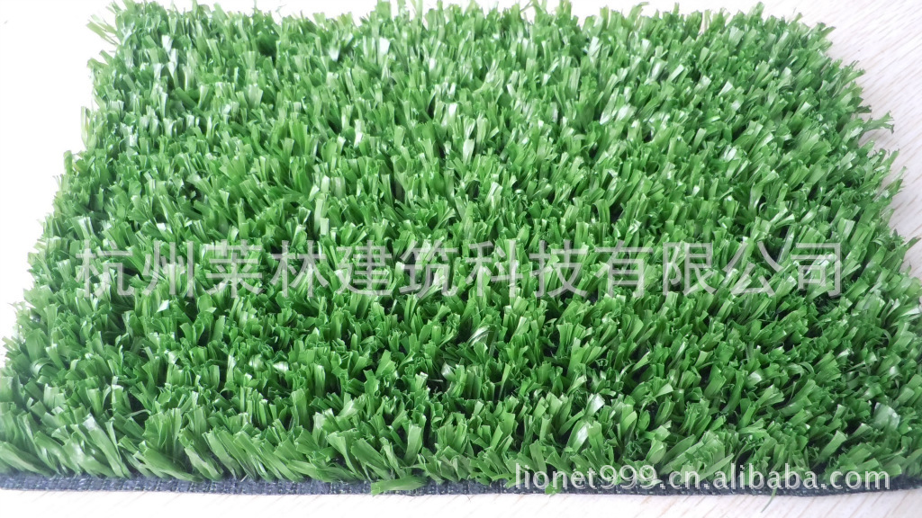 球场人造草坪展示图2