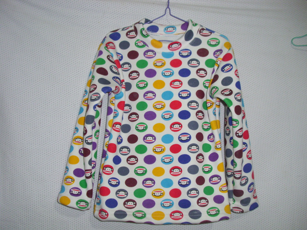 DSCI0019