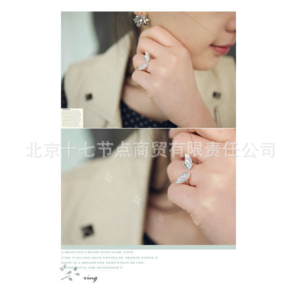 进口韩国饰品 fly wing earring飞翔天使翼翅膀 耳钉批发