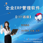 【ERP售前咨询】企业ERP管理软件 咨询服务 ERP准备、实施、运营