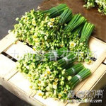 ˮ�ɻ�֦������50֦һ����һ������