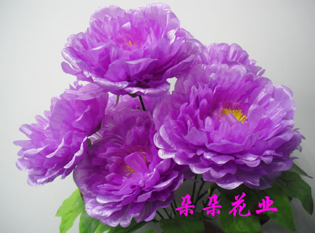 热销新品精品牡丹花