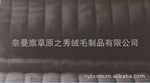 ��ԭ֮����꿹�ϻ��ܽ�����ձ(CYZX-A1)