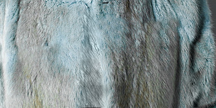 『教你一招』貂皮等级的直观区分（图例）与保养知识浅释