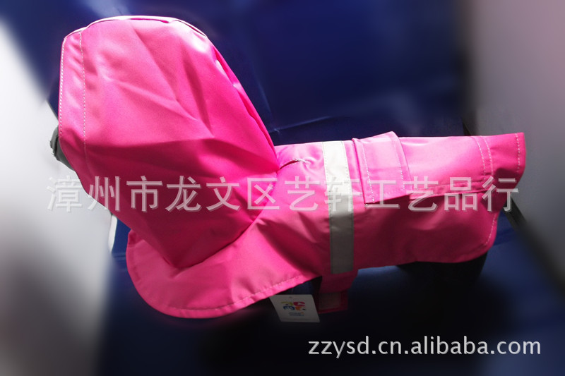 照片 294_副本
