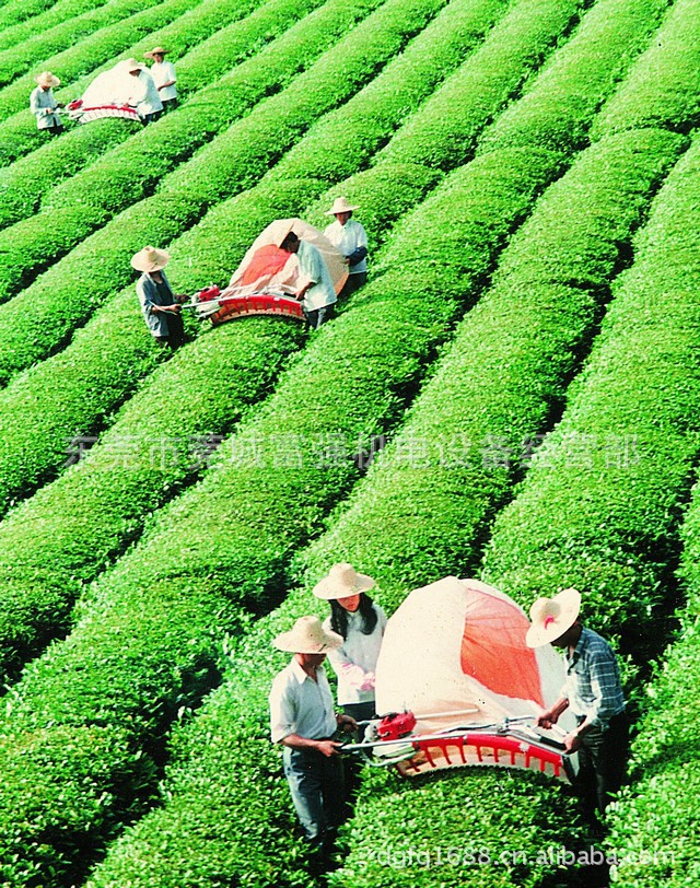 双人采茶机.汽油茶叶收采机