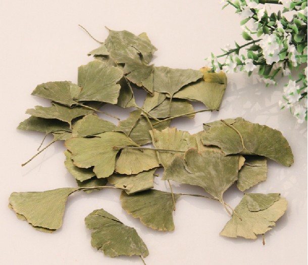 中药材 银杏叶 花草茶 纯天然 减少雀斑