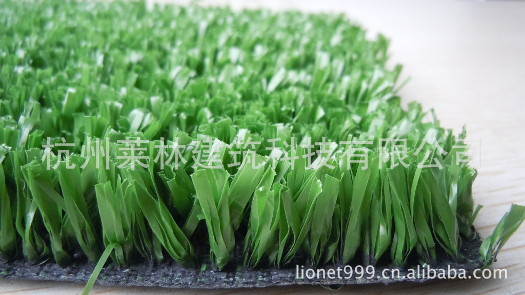 球场人造草坪展示图1