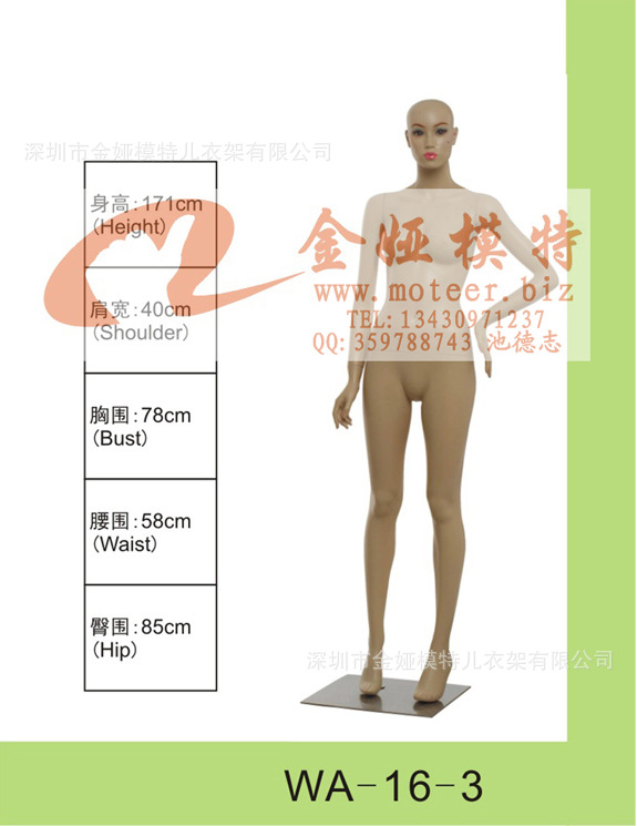 金娅模特品牌推出橱窗试衣模特儿 陈列模特道具 模特订购wa-15-1