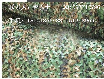 QQ图片20131014093308