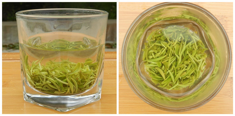 厂家直销2013有机新茶 特级绿茶阳羡雪芽茶叶 250g礼盒「绿茶-马可
