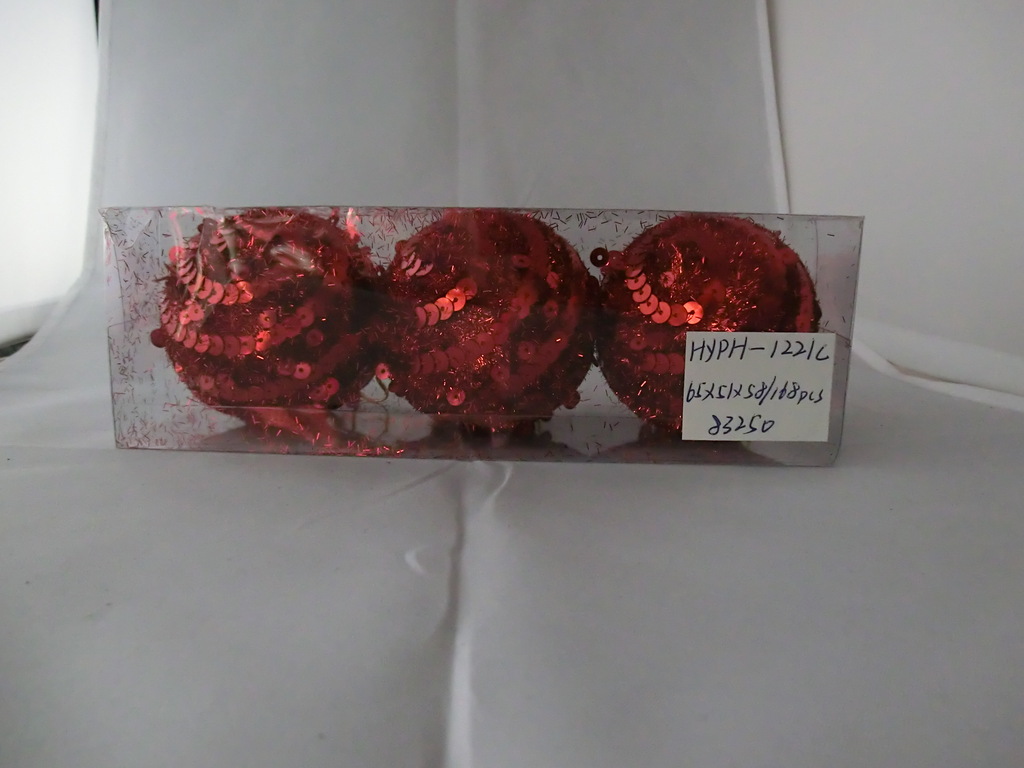 CIMG1307