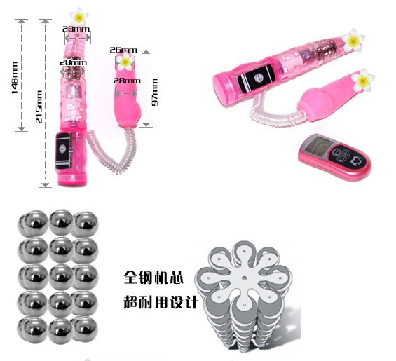 百樂遙控棒4